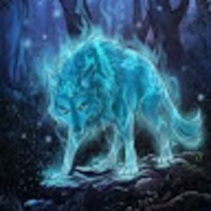 Meet your Posher, Cory